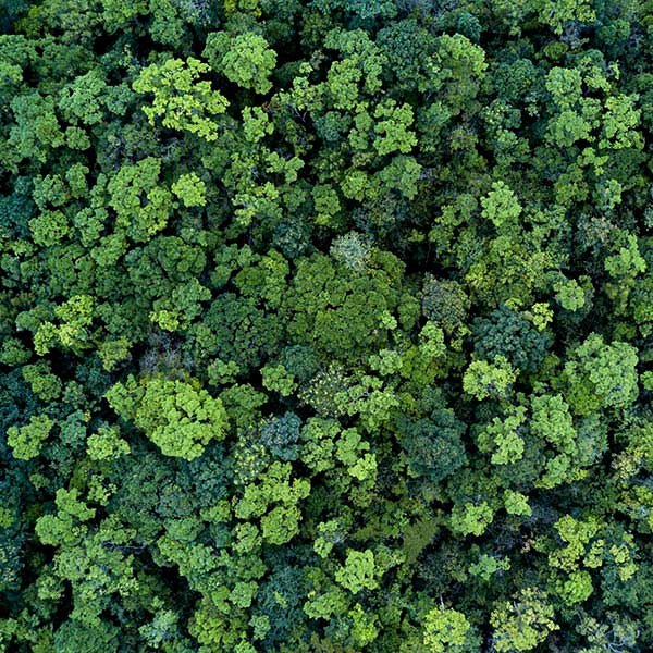 Die Natur ist unser Vorbild - Die Wunderfaser TENCEL. SCROC